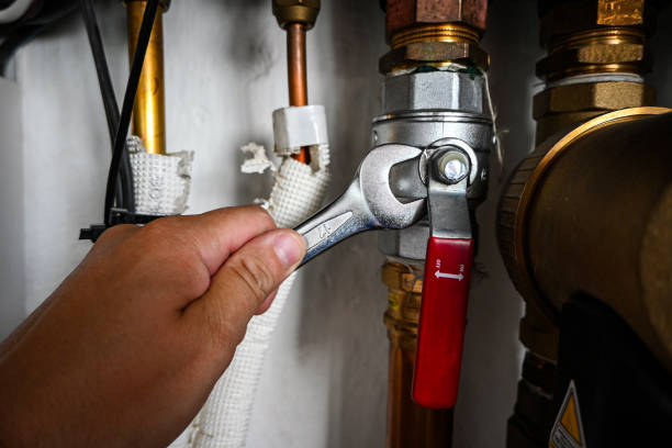 Best Clogged Drain Plumber  in Magnolia, NC